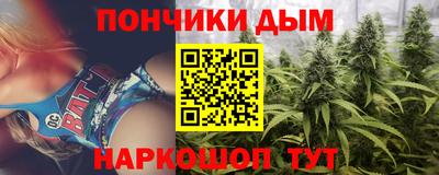 прущие крисы Будённовск