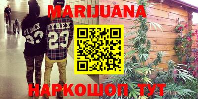 прущие крисы Будённовск