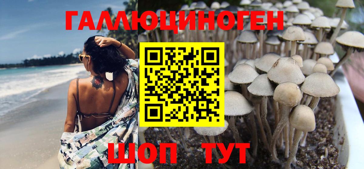 Кохма  Псилоцибиновые грибы мухоморы  Вход с VPN 