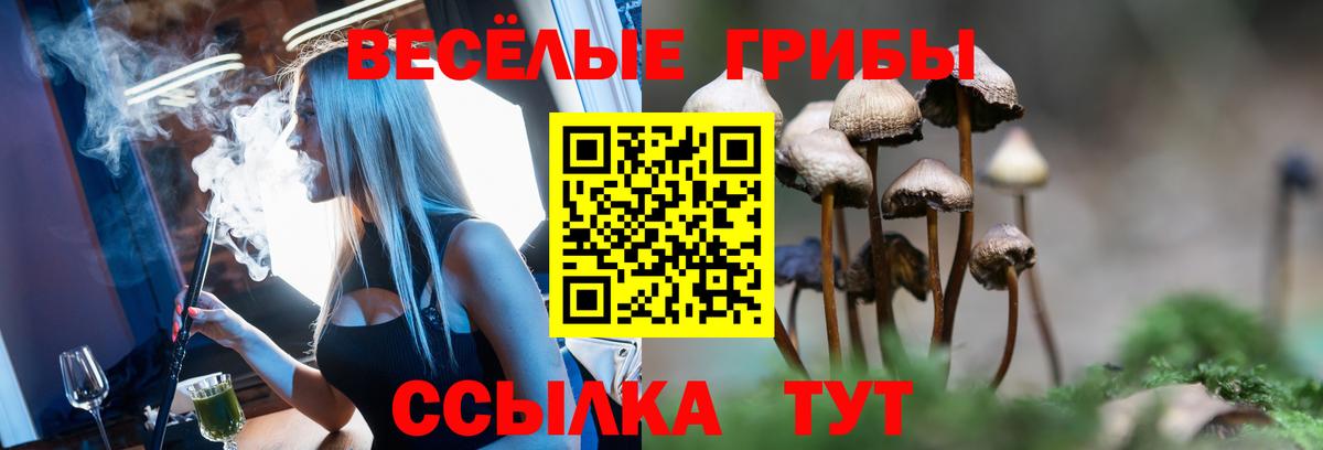 Псилоцибиновые грибы GOLDEN TEACHER Кохма